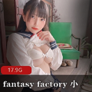 FantasyFactory小丁8月-9月粉丝A变C，17.9G资源下载